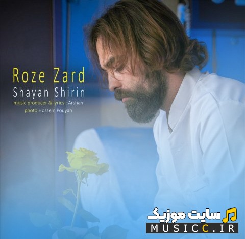 اهنگ جدید شایان شیرین به نام رز زرد [Roze Zard - Shayan Shirin] + متن کامل